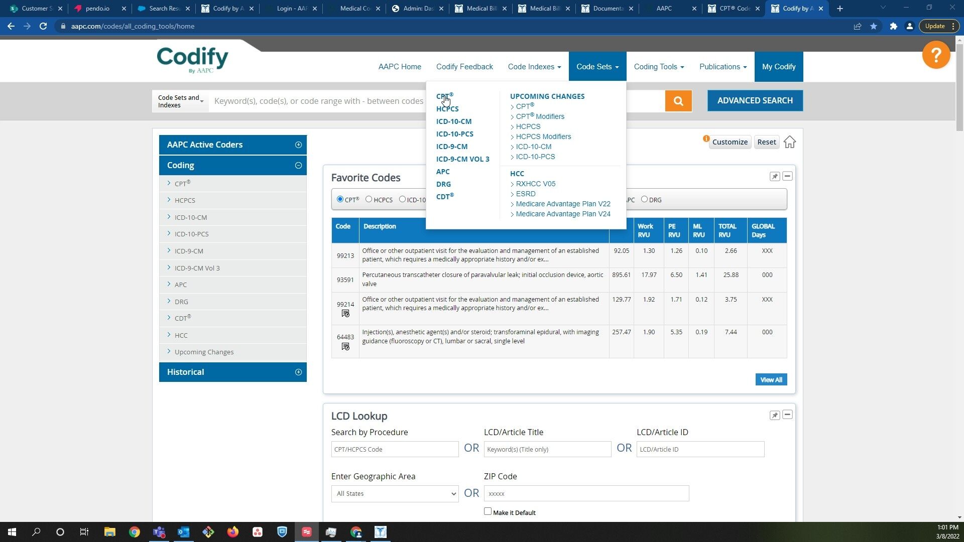 Screenshot of: Click on CPT under the 'Code Sets' Tab