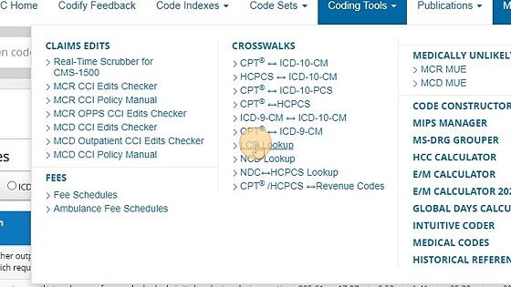 Screenshot of: You can find the LCD Lookup under the 'Coding Tools' Tab