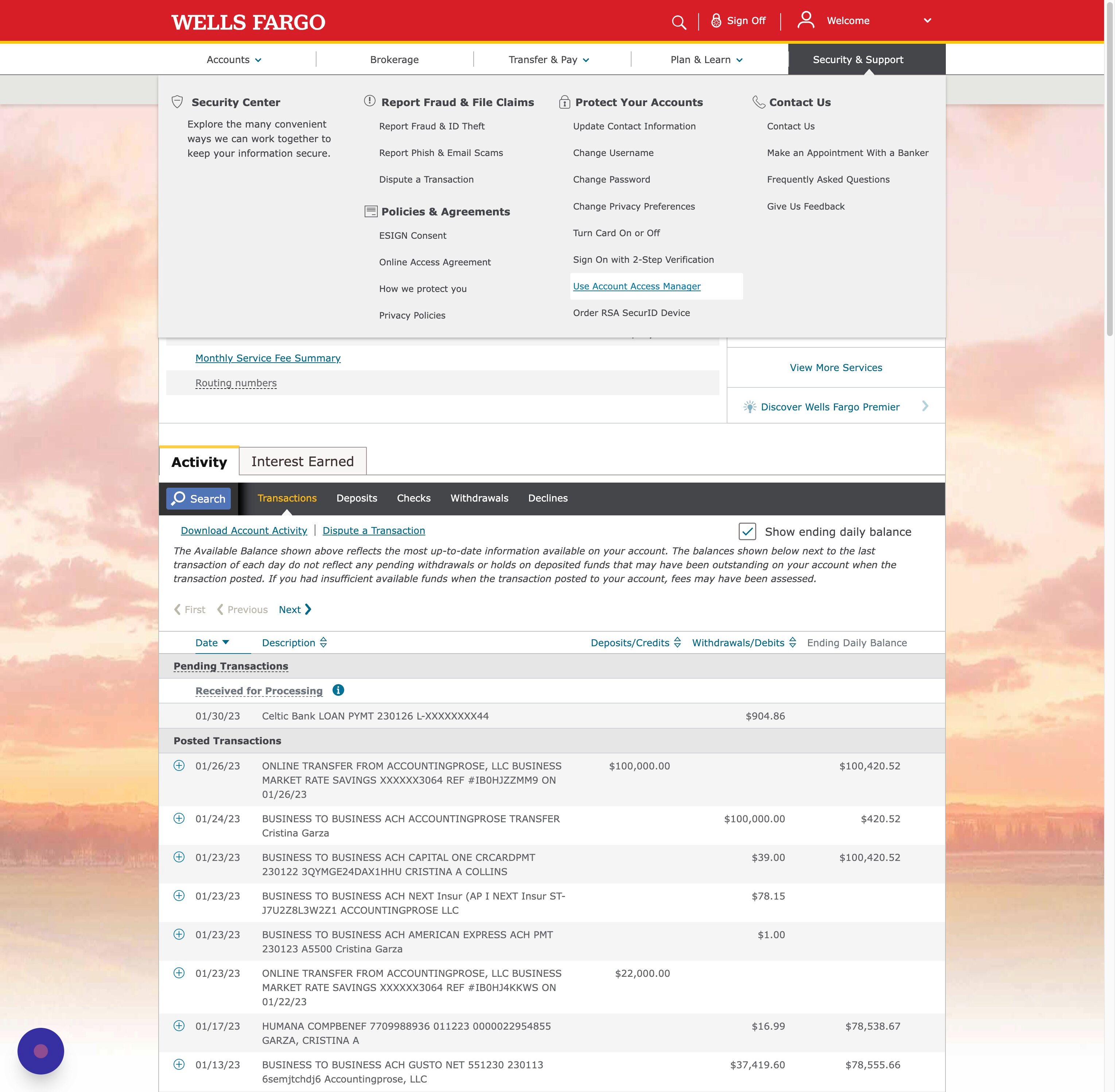 Use Access Manager | Accountingprose