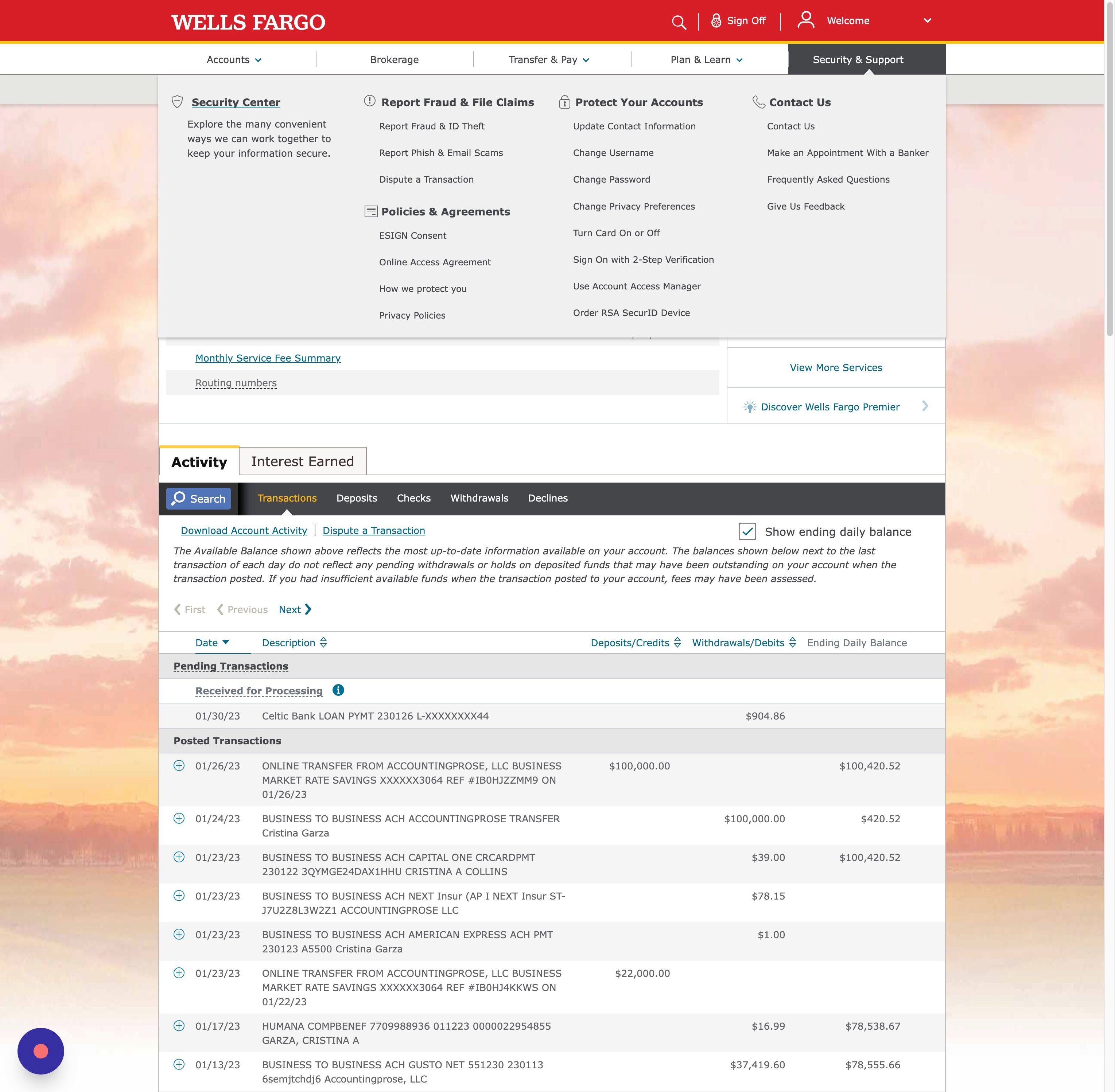 Wells Fargo Security & Support Menu | Accountingprose