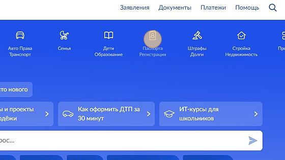 Screenshot of: Выберите "Паспорта / Регистрация" и перейдите по ссылке. 