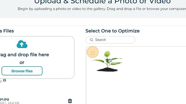 Screenshot of: Click this checkbox.