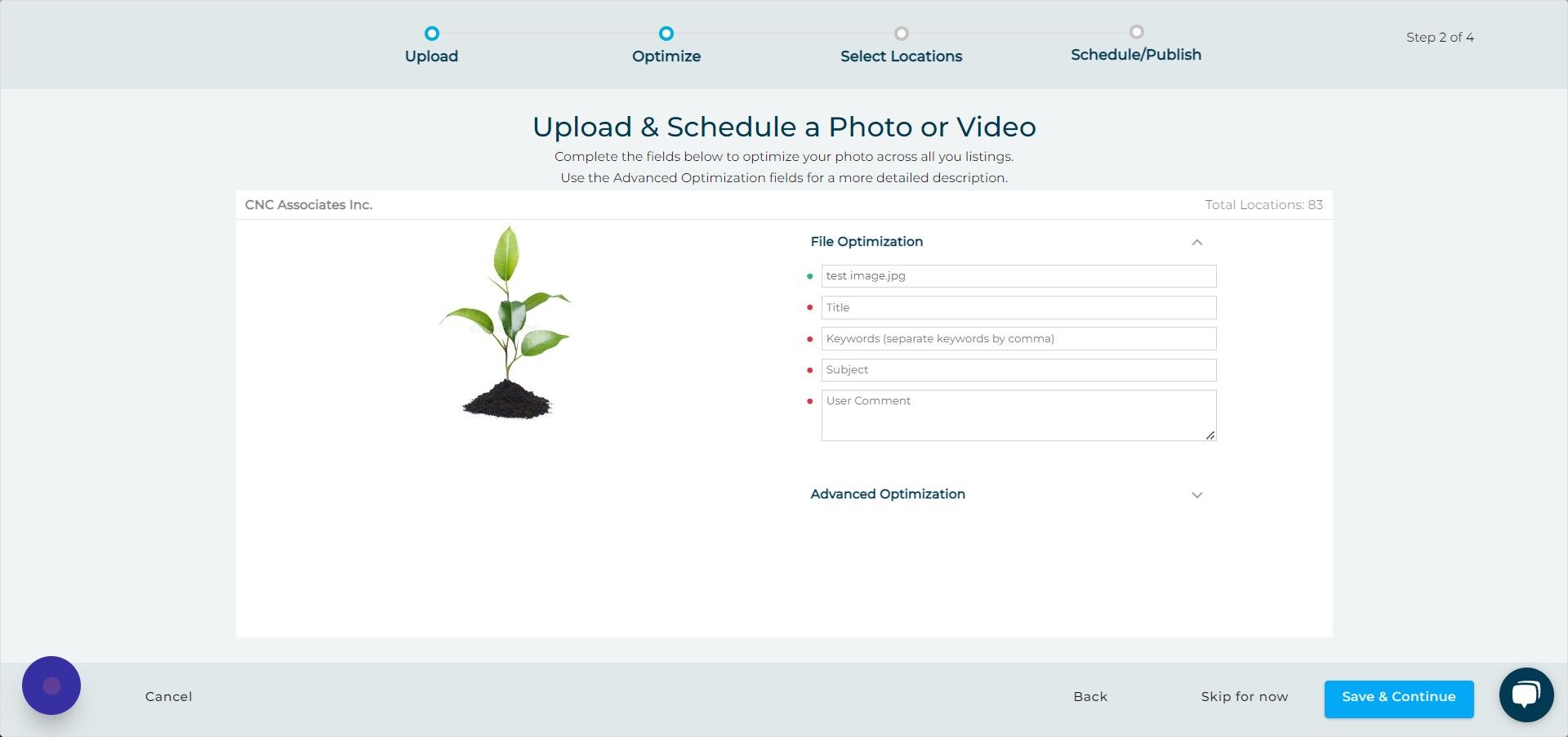 Screenshot of: Click "Advanced Optimization"
