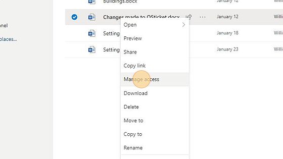 Screenshot of: Select the 3 dots at the end of the file name and choose manage access.