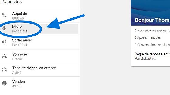 Screenshot of: Cliquez sur le bouton "Micro"