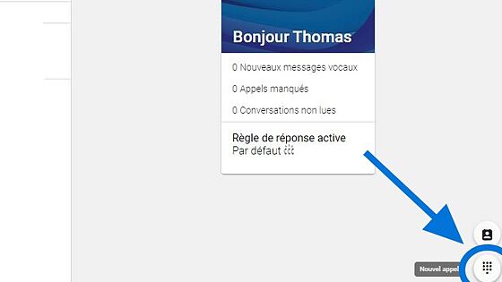 Screenshot of: Cliquez sur "Nouvel appel"