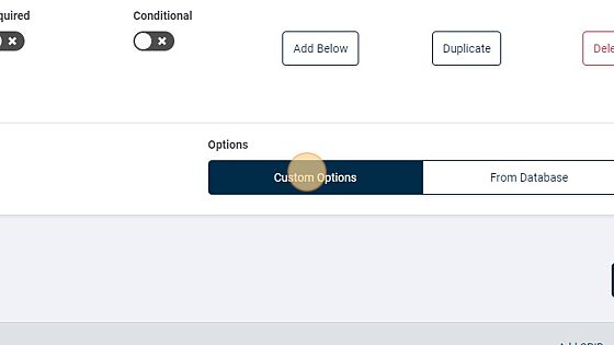 Screenshot of: Click "Custom Options"
