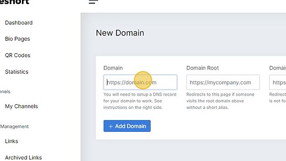 Screenshot of: Click on the 'Domain' field and type in your domain name.