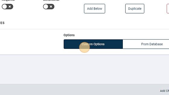 Screenshot of: Click "Custom Options"