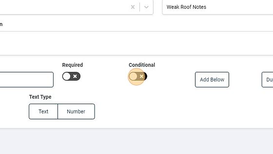 Screenshot of: Enable the Conditional Toggle.
