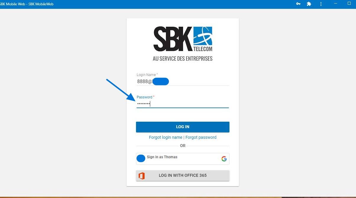 Screenshot of: Then enter your password in the "password" section