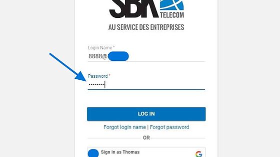 Screenshot of: Then enter your password in the "password" section