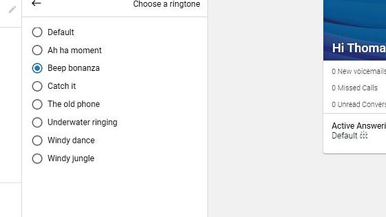Screenshot of: You can select the ringtone of your choice.