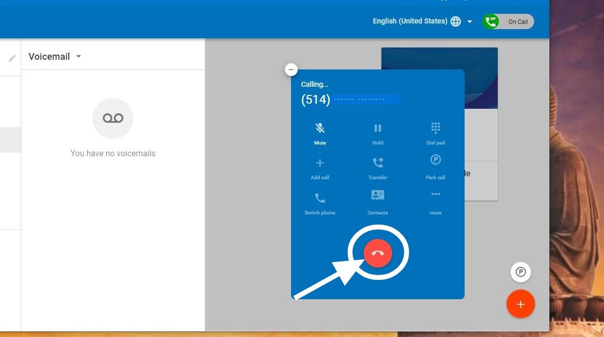 Screenshot of: Press the red button with the phone logo to end the call.