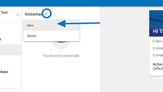 Screenshot of: By clicking on the little arrow next to "Voice Mail", you will be able to listen to your new and old voice messages (Saved).