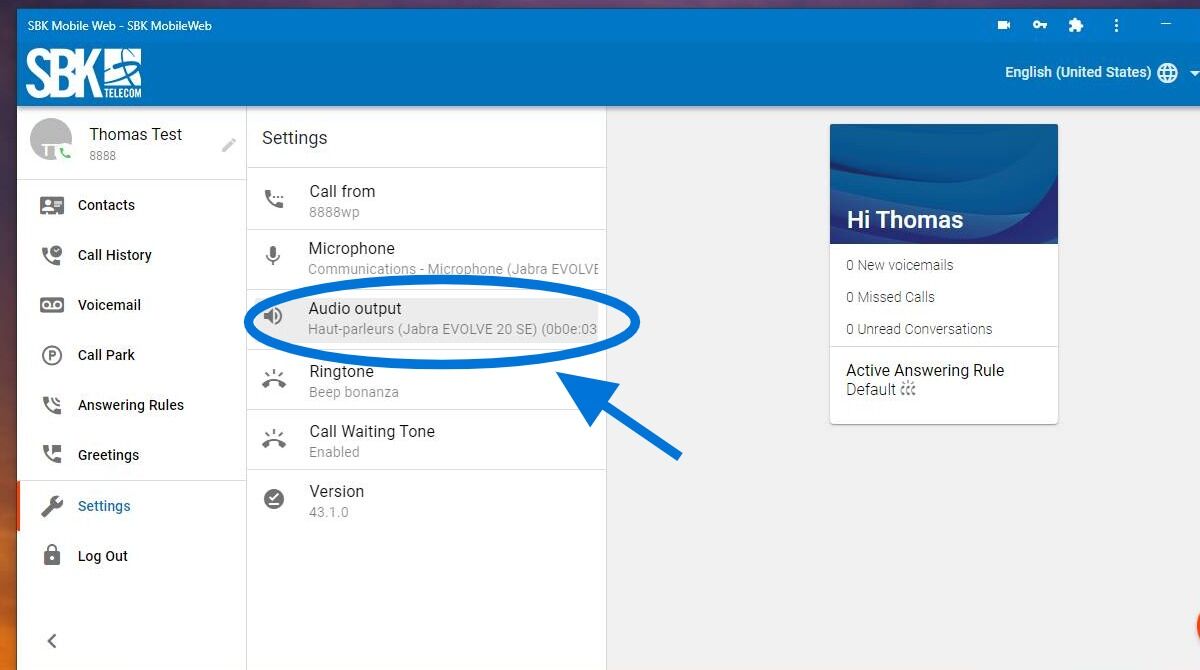 Screenshot of: Next, you need to connect the audio to your headphones. You must
select the "Audio output" button.