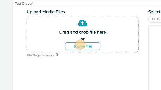 Screenshot of: Click the "Browse files" field.