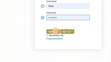 Screenshot of: Click "Sign in" to login to the client portal. 