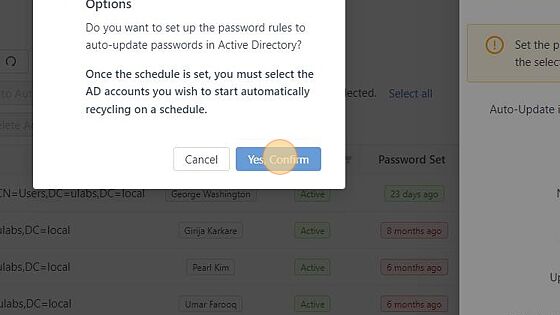 Screenshot of: Confirm that you do want to set the auto-update options.