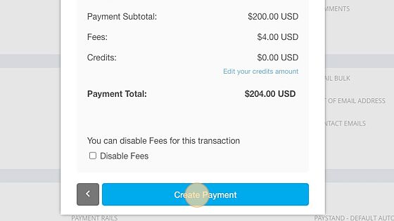 Screenshot of: Click "Create Payment"