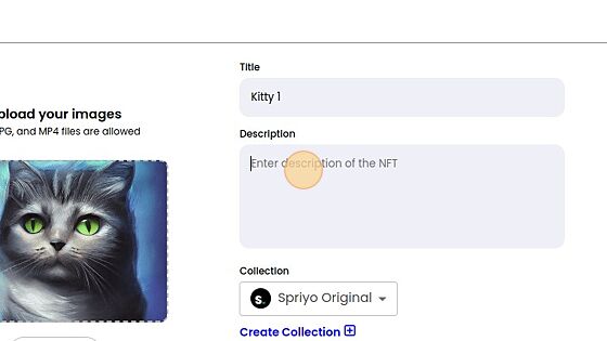 Screenshot of: Click the "Enter description of the NFT" field.