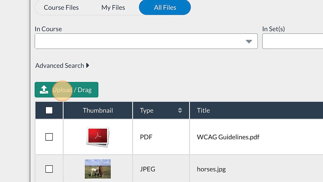 Screenshot of: The File Manager displays files that have been uploaded and also allows uploading additional files. To upload a file, select the Upload/Drag button or drag a file anywhere in the File Manager window.