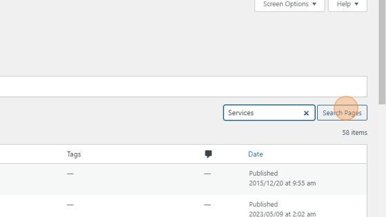 Screenshot of: Once in pages window type in the "Search Pages" field at right-hand side of your screen the word "Services" Click the "Search Pages" button.