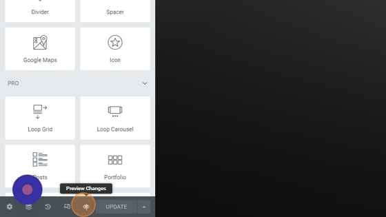 Screenshot of: On the bottom left-hand click "Preview" (eye icon) to view you new page