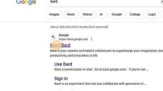 Screenshot of: Click "Meet Bard"