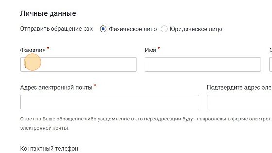 Screenshot of: При выборе физического лица введите Ваши фамилию, имя и отчество (при наличии). 