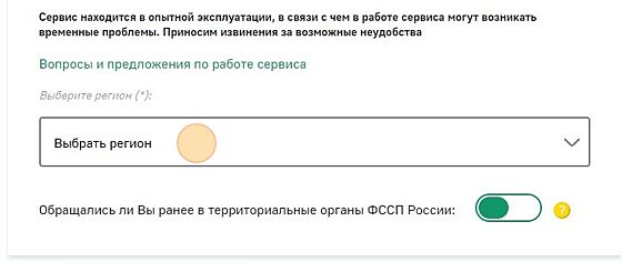 Screenshot of: Выберите необходимый регион из списка. Если Вы ранее обращались в ФССП России, передвиньте ползунок. После Вам нужно будет заполнить информацию о предыдущем обращении. 