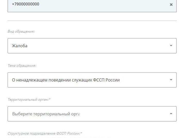 Screenshot of: Например, "О ненадлежащем поведении служащих ФССП России".