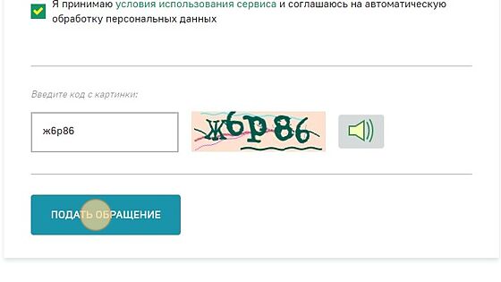 Screenshot of: Нажмите кнопку "Подать обращение". Отслеживать статус можно по электронной почте и по ссылке: https://fssp.gov.ru/form/action/check 