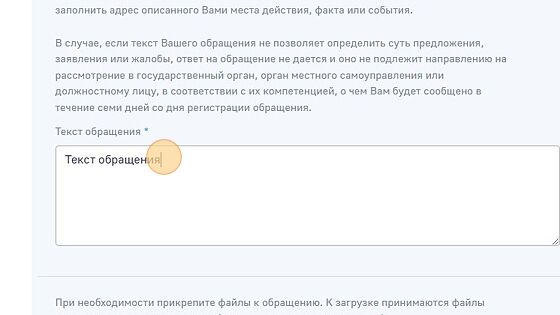 Screenshot of: В блоке "Текст обращение" введите текст Вашего письма. 