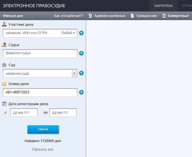 Screenshot of: Например, номер дела в формате А81-4667/2023. 
