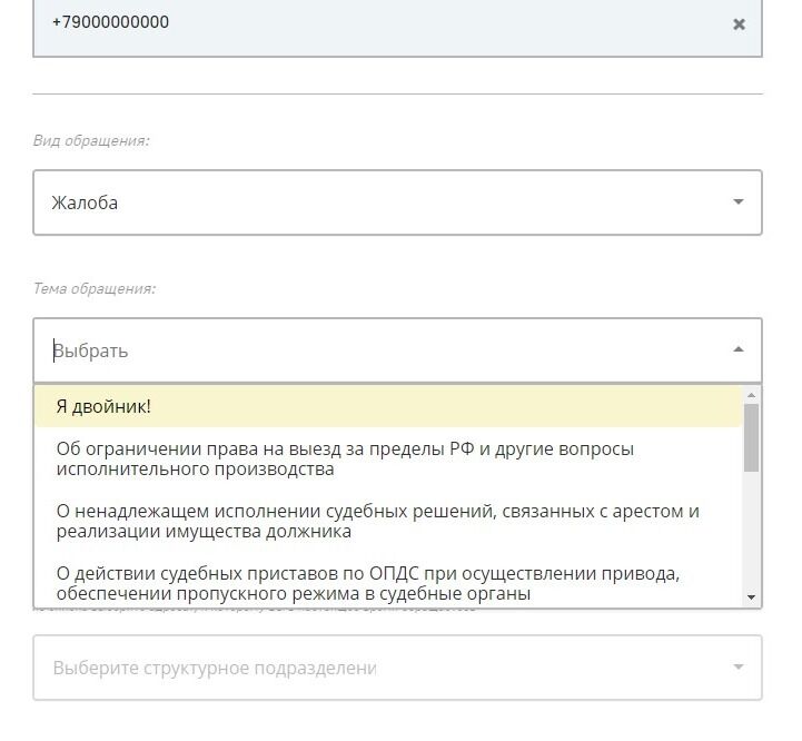 Screenshot of: Выберите тему обращения из списка. 