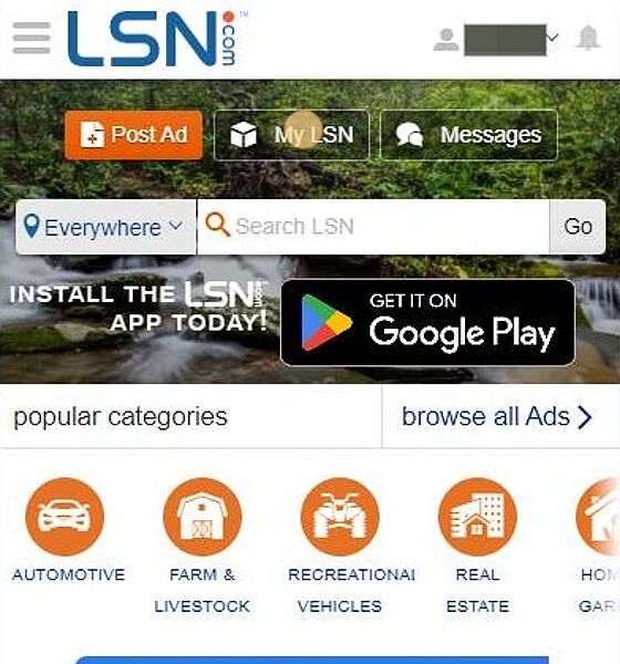 Screenshot of: From the Homepage, Click "My LSN"