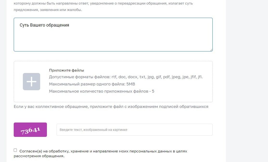 Screenshot of: Также Вы можете добавить дополнительные документы, загрузив их со своего устройства. Если у Вас коллективное обращение, приложите файл с изображением подписей обратившихся. Внимательно прочтите требования к загружаемым файлам.