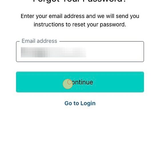 Screenshot of: Enter your email and click "Continue."