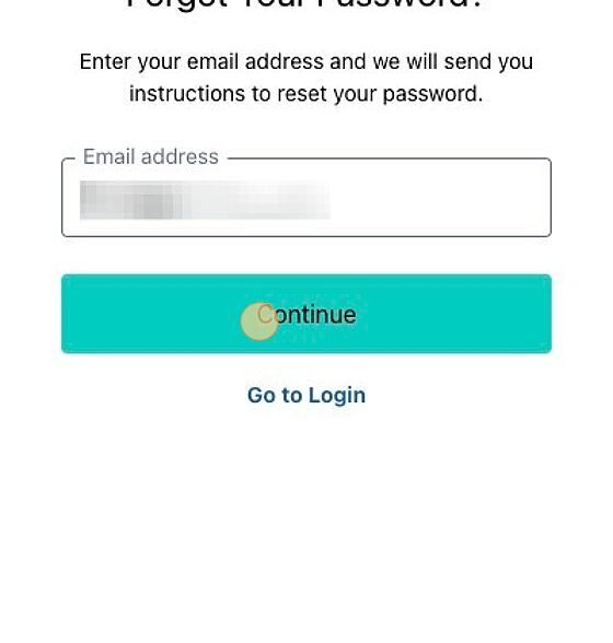 Screenshot of: Enter your email and click "Continue."