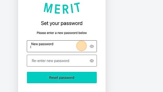 Screenshot of: Enter your new password twice. 