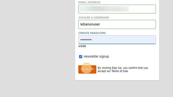 Screenshot of: Click "Sign Up" to submit