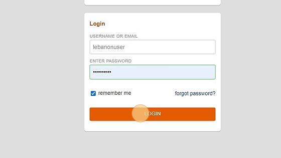 Screenshot of: After providing your password, submit the form to log in.