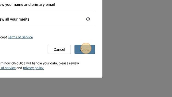 Screenshot of: Accept the Terms of Service then click "Allow"