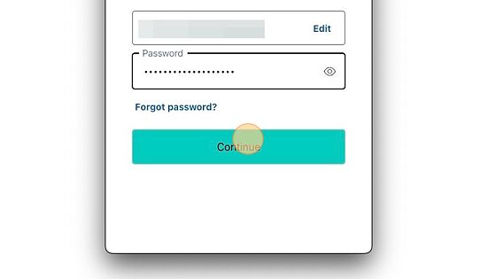Screenshot of: Enter your password and click "Continue"