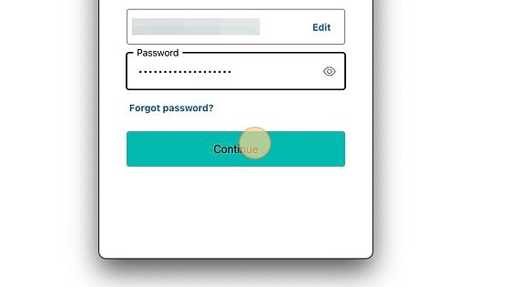 Screenshot of: Enter your email and password and click "Continue"