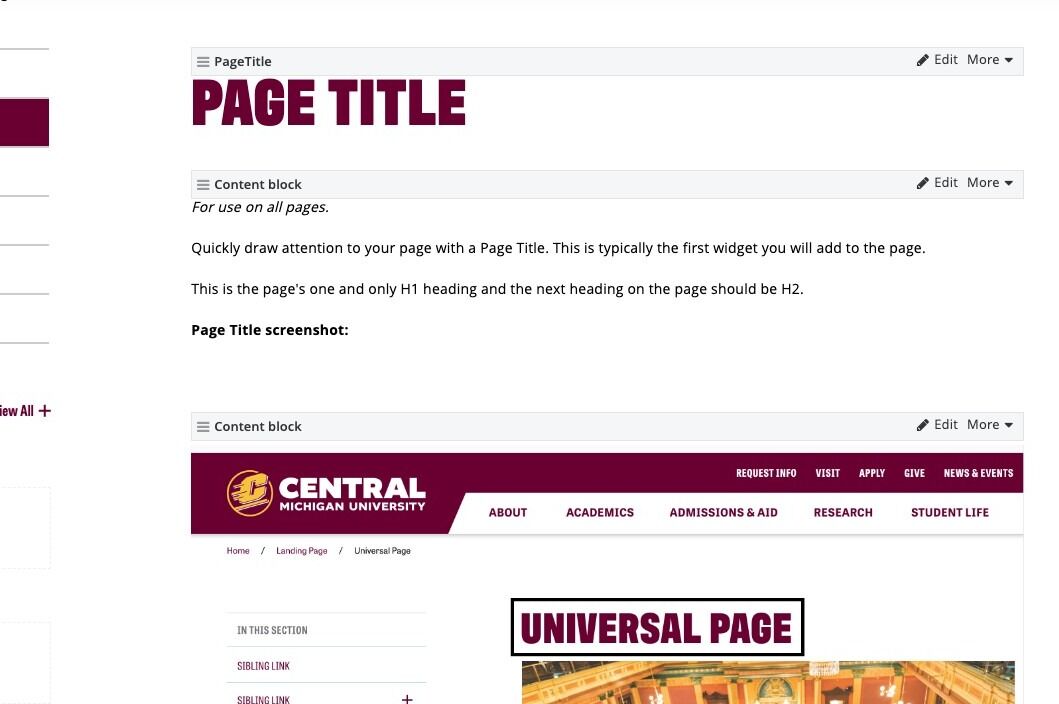 Screenshot of: This is the only H1 heading on your page. The next heading should be H2.
