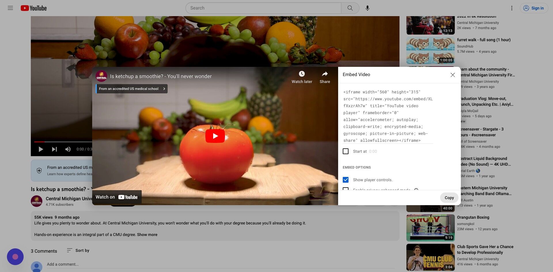 Screenshot of: Copy the embed code provided by YouTube.

