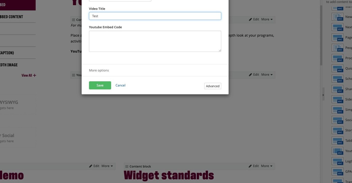 Screenshot of: Add your Video Title.
