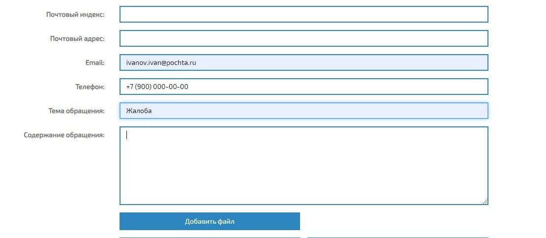 Screenshot of: В поле для письма введите Ваш текст обращения.